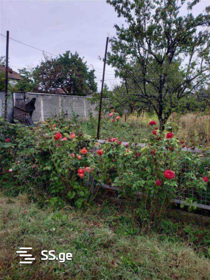 Продажа 5-комната Частный дом view 8