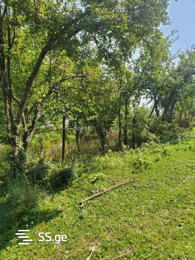 Land For Sale. Gudauri, 3 of 4