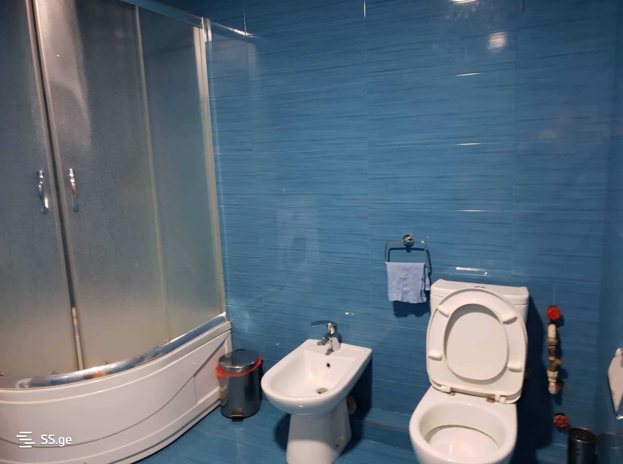 Daily Rent 3 Room Apartment Telavshi view 23