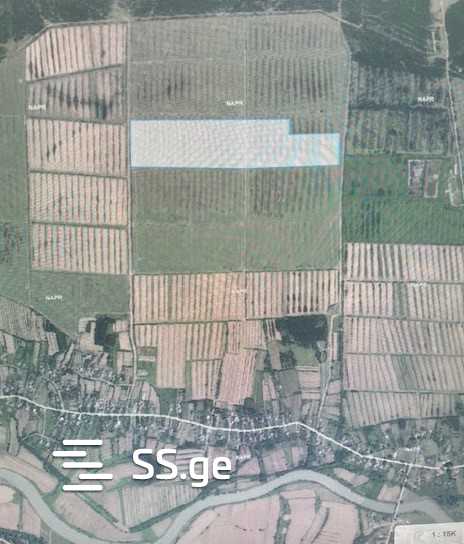 Land For Rent. Khobi view 2