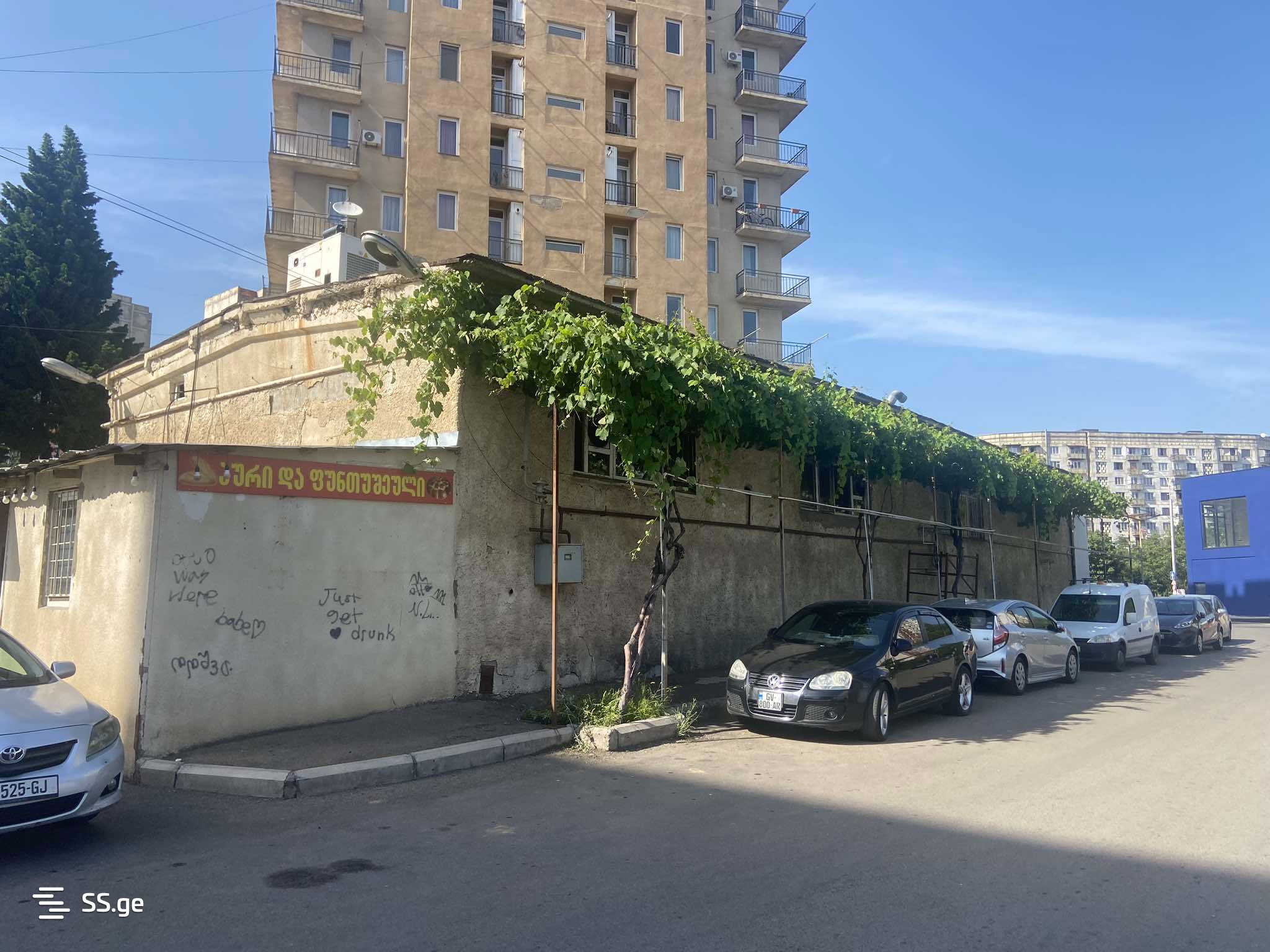 Shopping Property For Sale. Varketili view 2