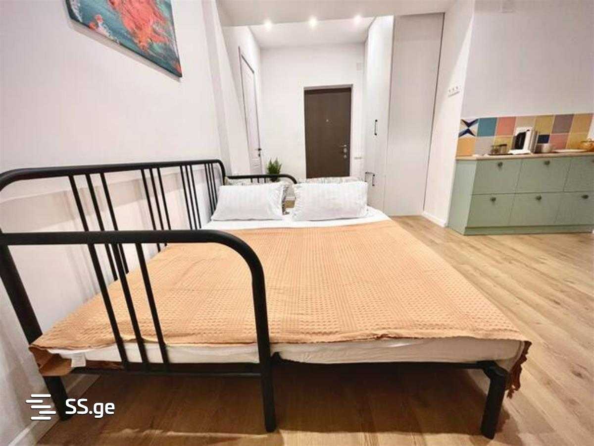 1 Room Flat Daily Rent. Vake view 2