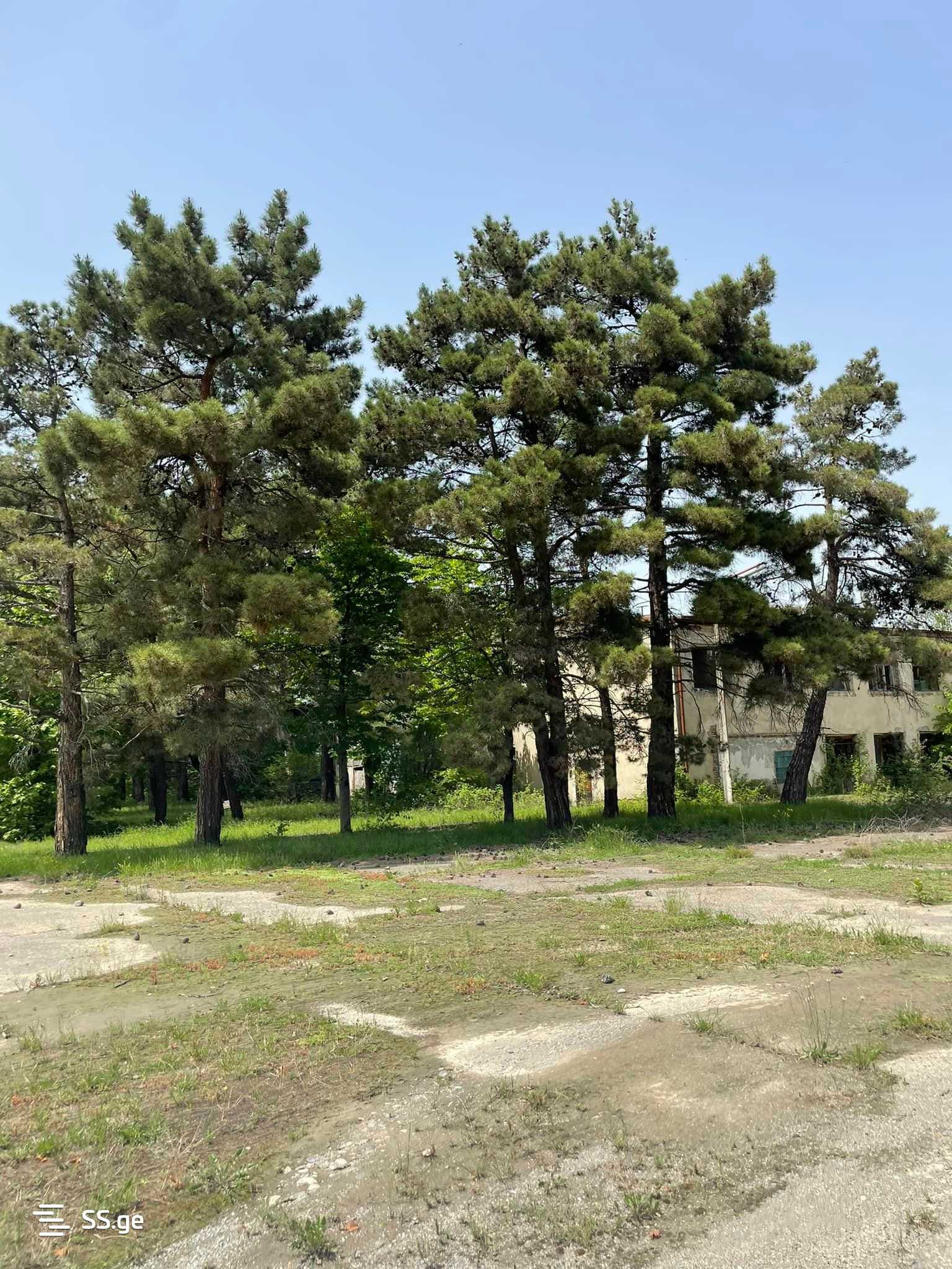 Продажа Store-Industrial Property в Телави, 1 of 12