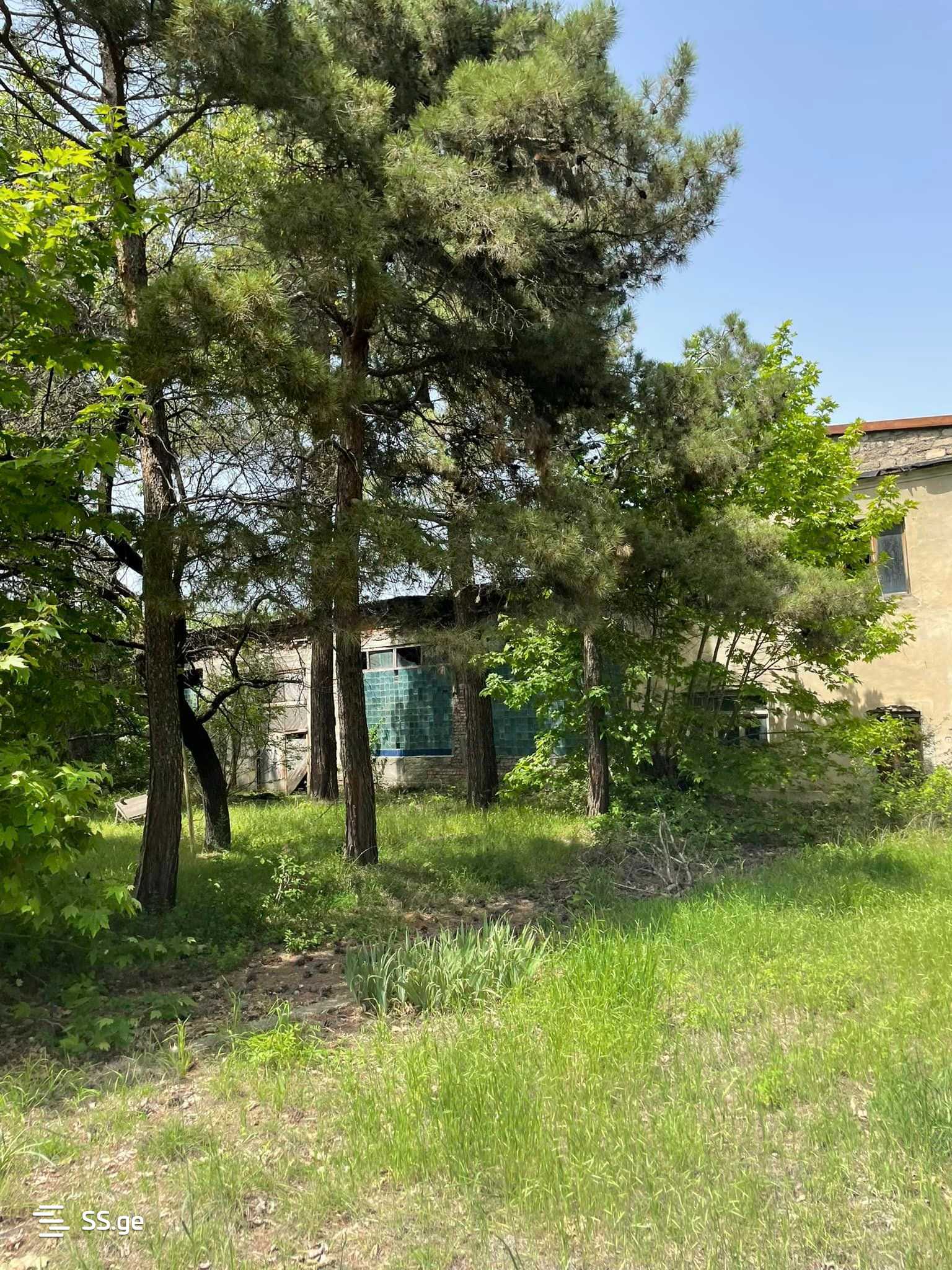 Продажа Store-Industrial Property в Телави, 9 of 12