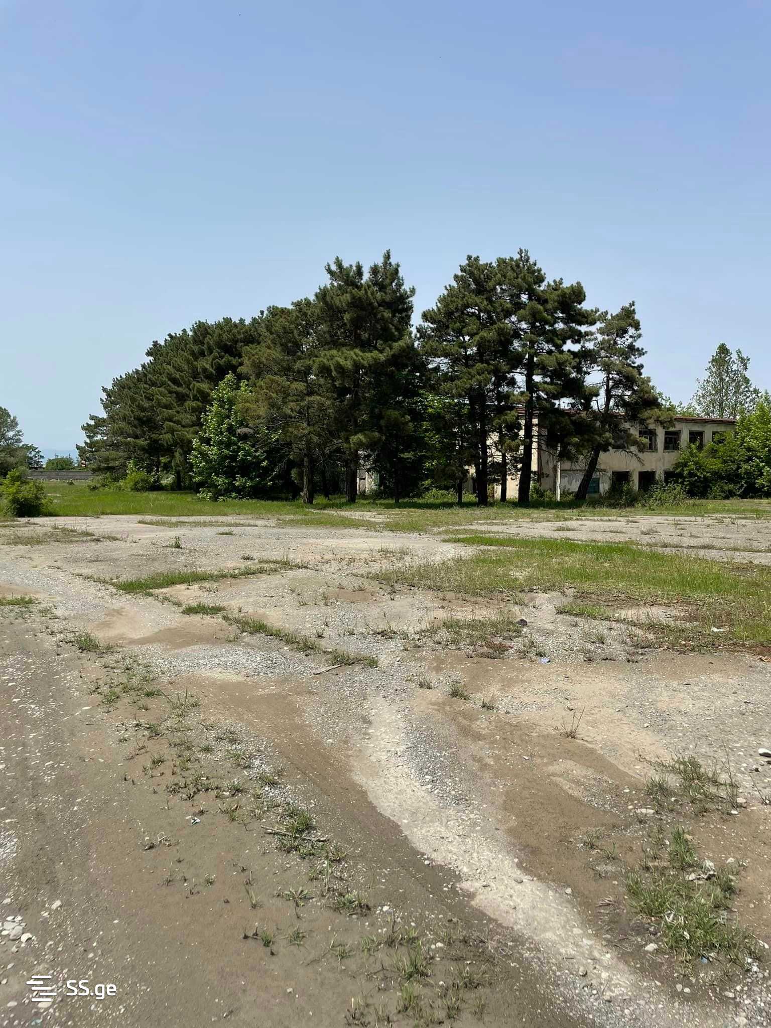 Продажа Store-Industrial Property в Телави, 3 of 12