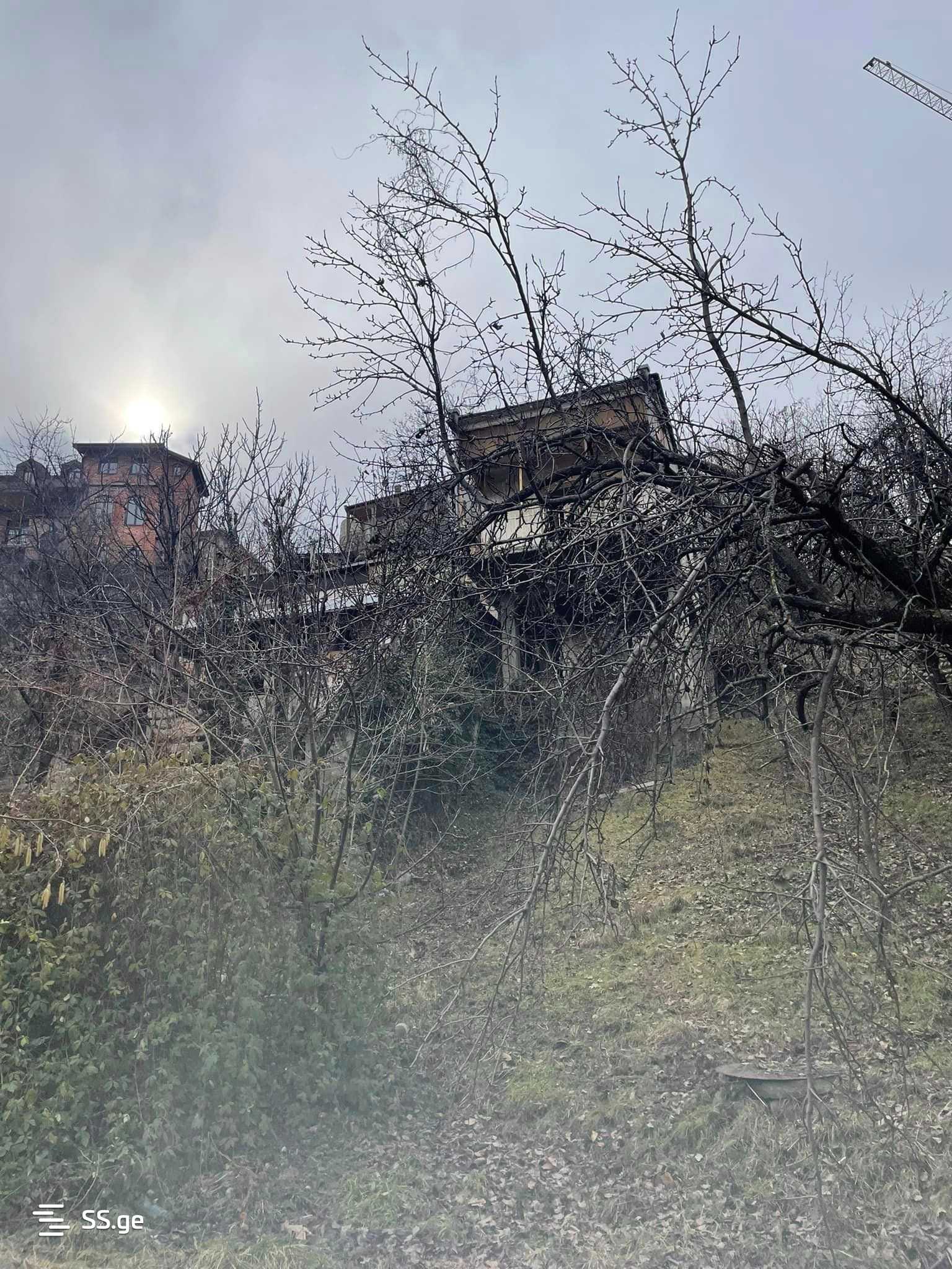 Продажа Земля в Телави, 7 of 11