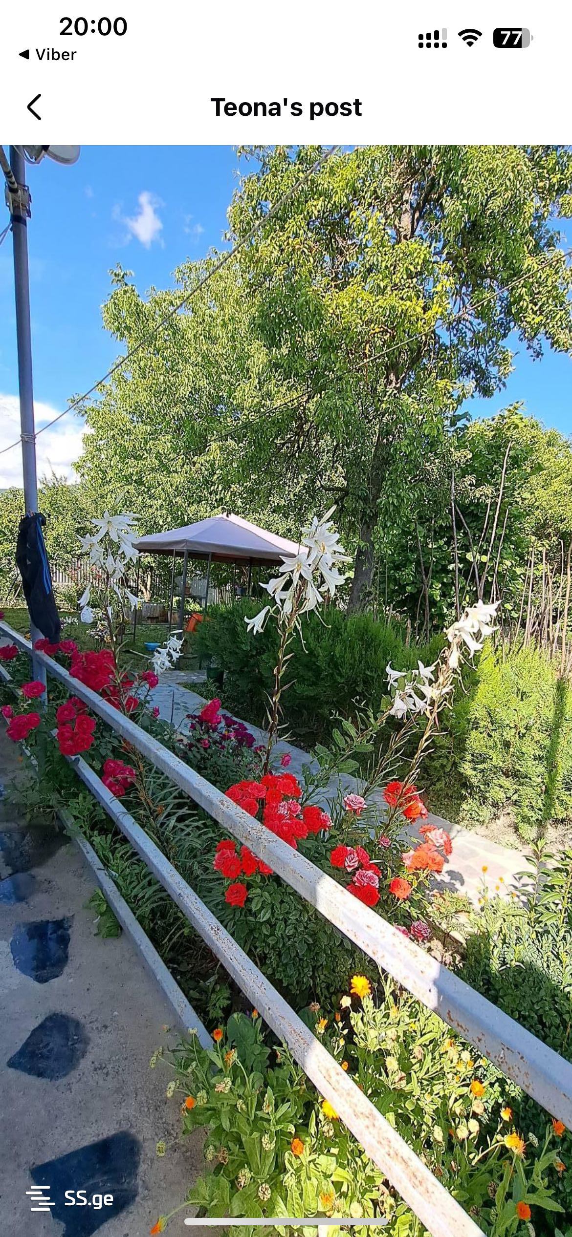 5 Room Private House Daily Rent. Tianeti view 11