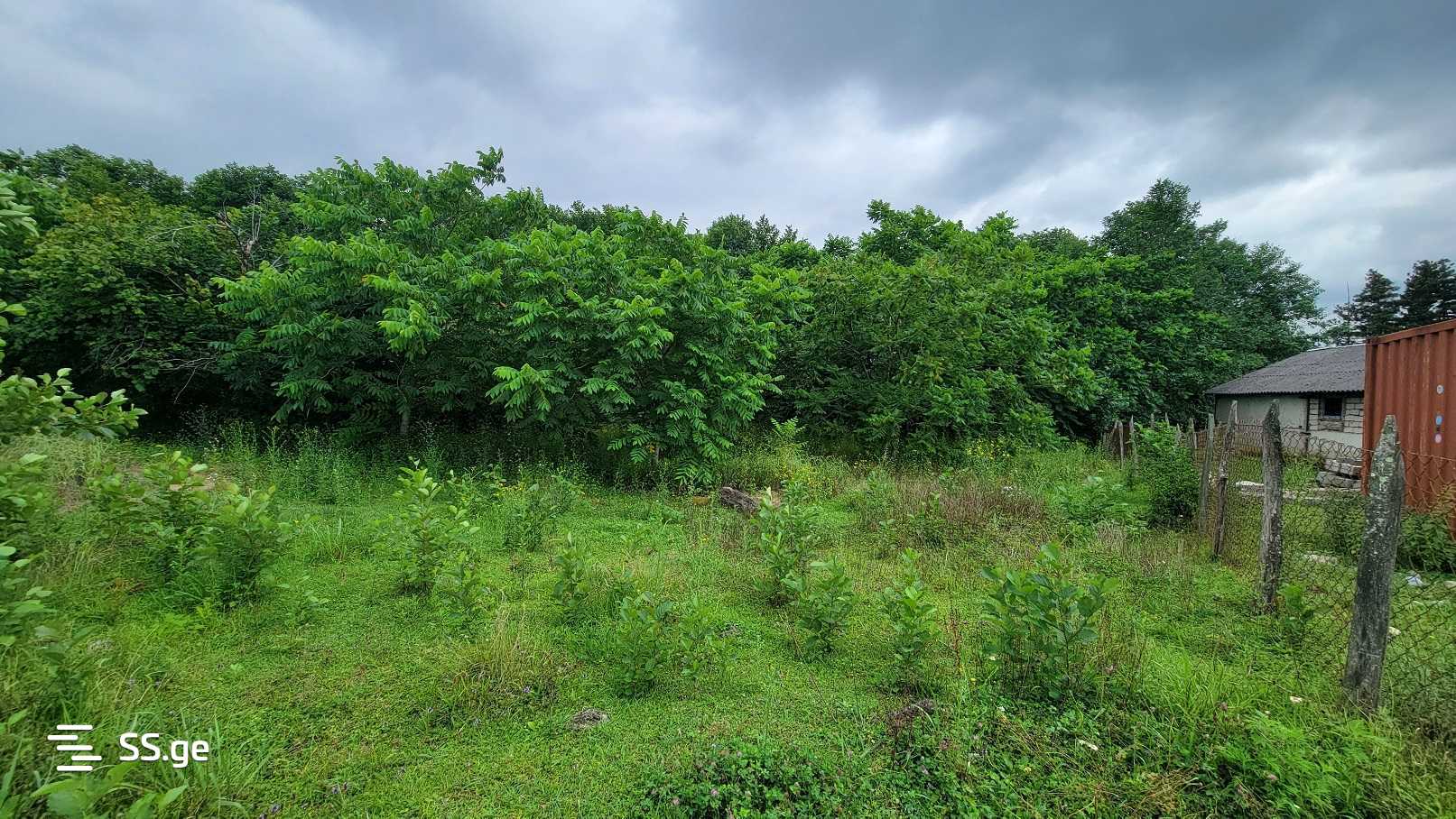 For Sale Sasoplo-Sameurneo Land Plot Ozurgetis Munitsipalitetshi view 12