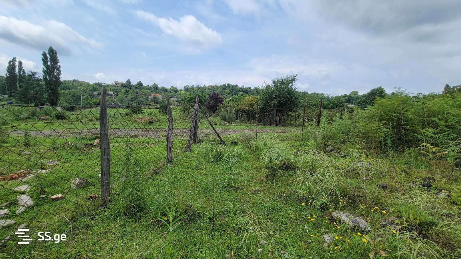 For Sale Sasoplo-Sameurneo Land Plot Ozurgetis Munitsipalitetshi view 11