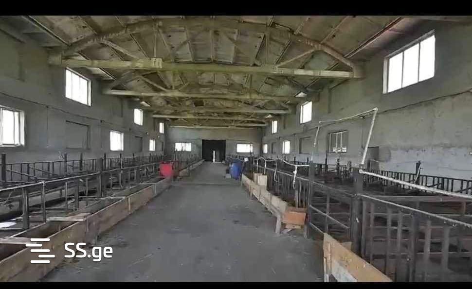 Store-Industrial Property For Sale. Samtredia view 7