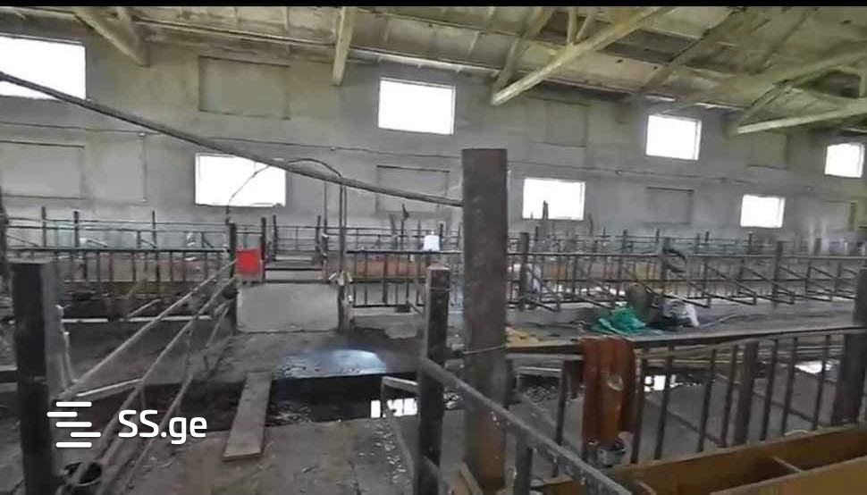Store-Industrial Property For Sale. Samtredia view 8