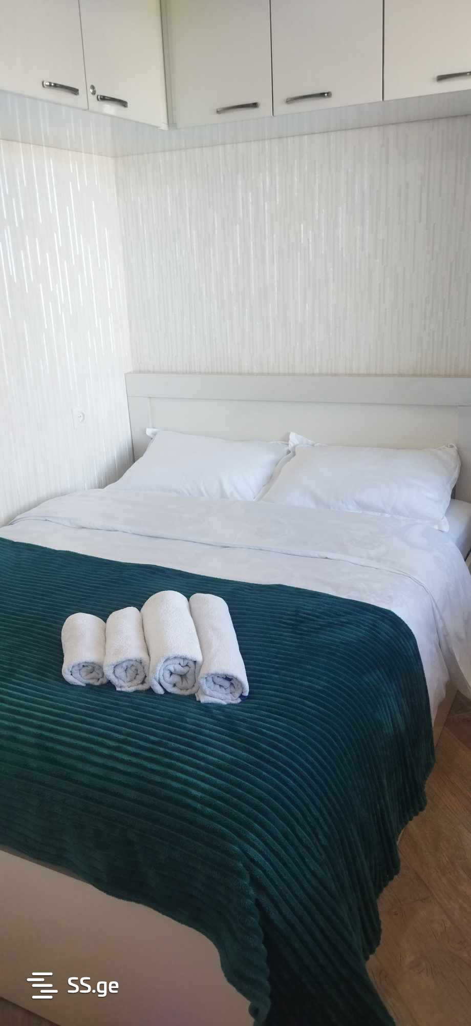 2 Room Flat Daily Rent. Kutaisi view 1