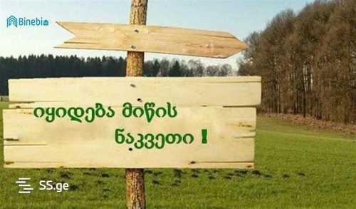 https://static.ss.ge/20240731/9_946bfff7-21d2-4141-9d7f-b43e151120b7_Thumb.jpg