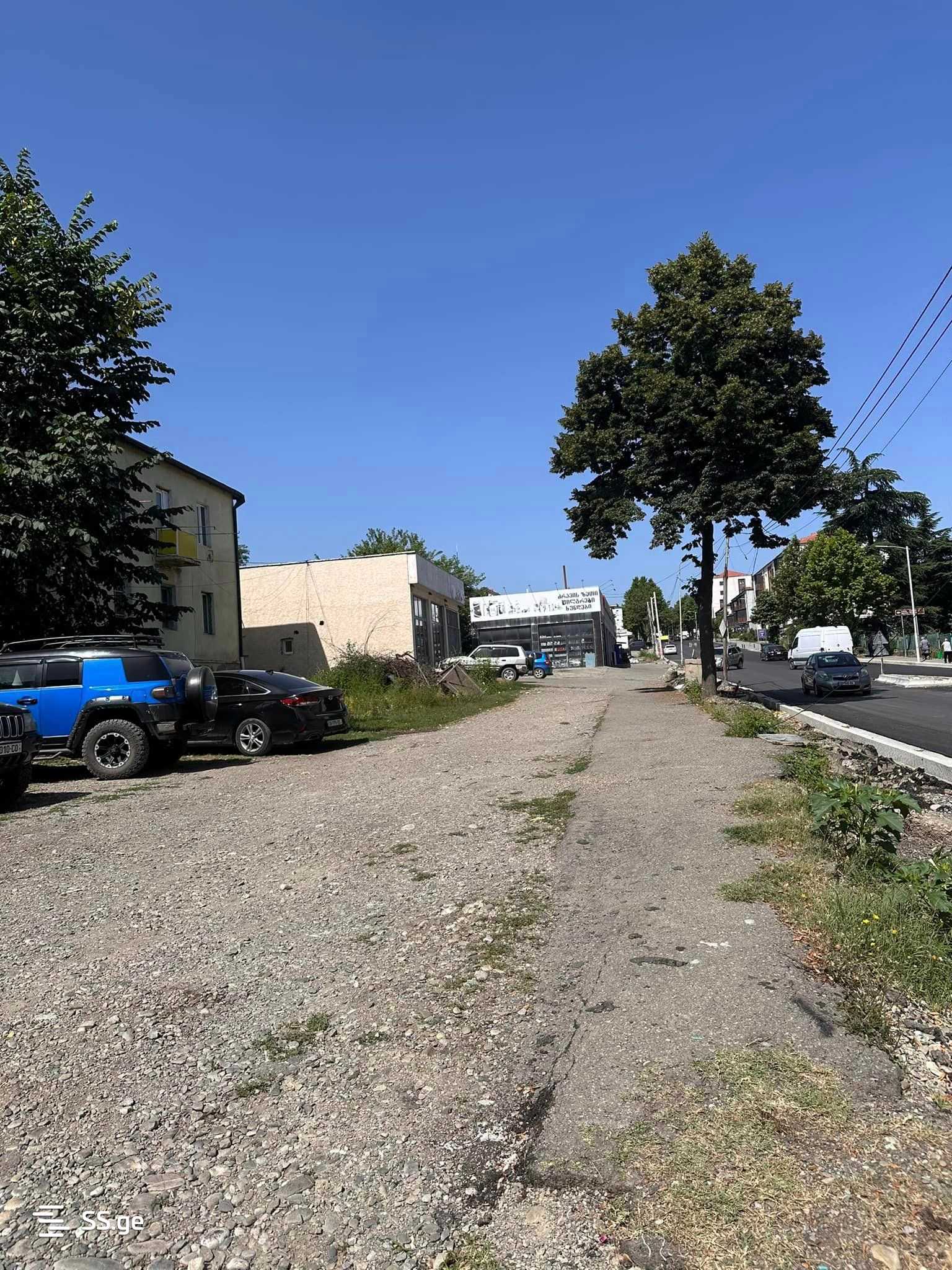 Land For Sale. Telavi, 2 of 4