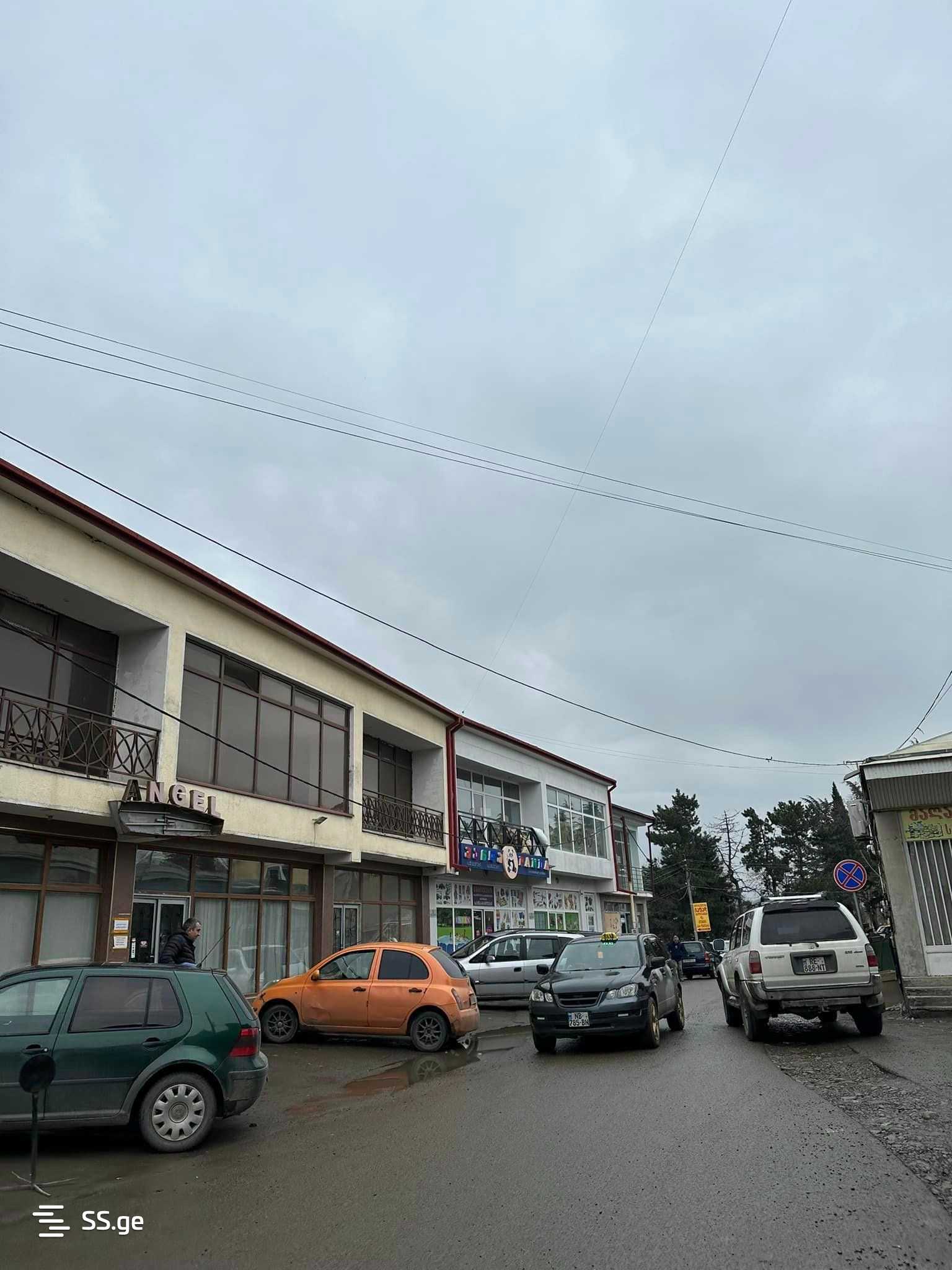 Land For Sale. Telavi, 3 of 4