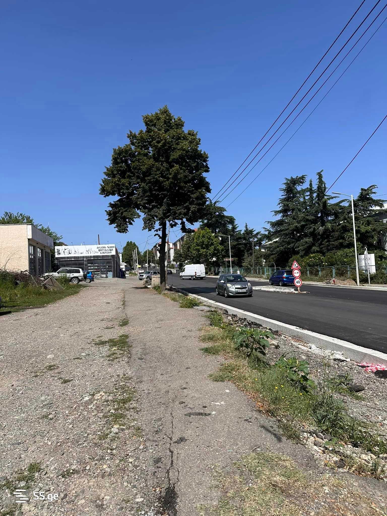 Land For Sale. Telavi view 10