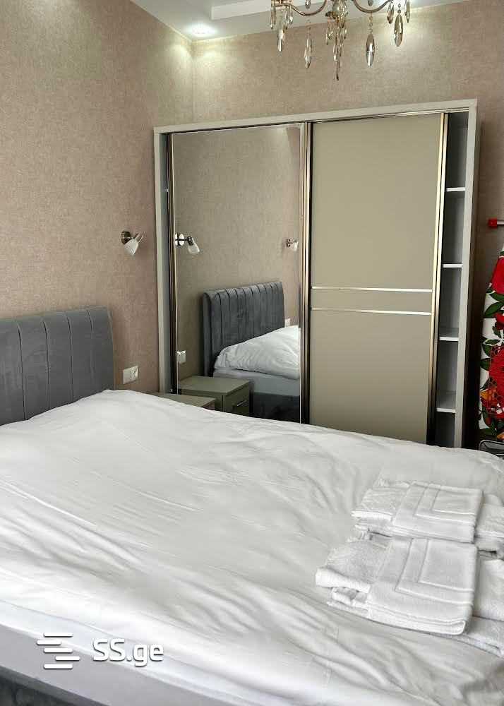 2 Room Flat For Rent. Didube view 2
