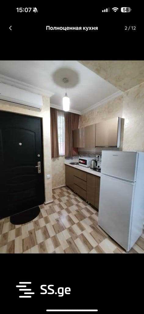 1 Room Flat Daily Rent. Batumi view 4