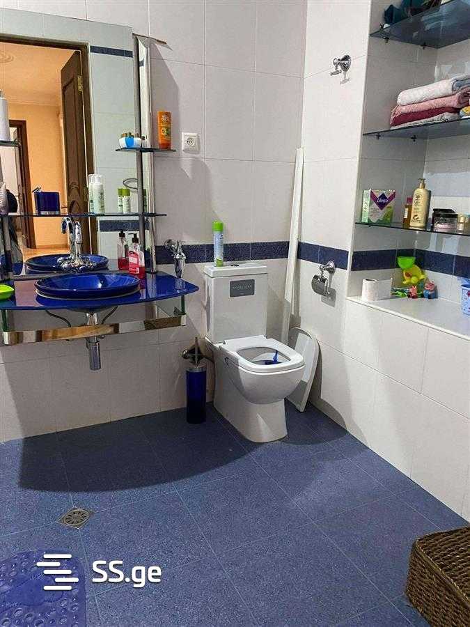 6 Room Private House For Rent. Chugureti view 7