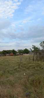 https://static.ss.ge/20240803/16_05496dde-609e-4c38-9be1-c86b53eef150_Thumb.jpg