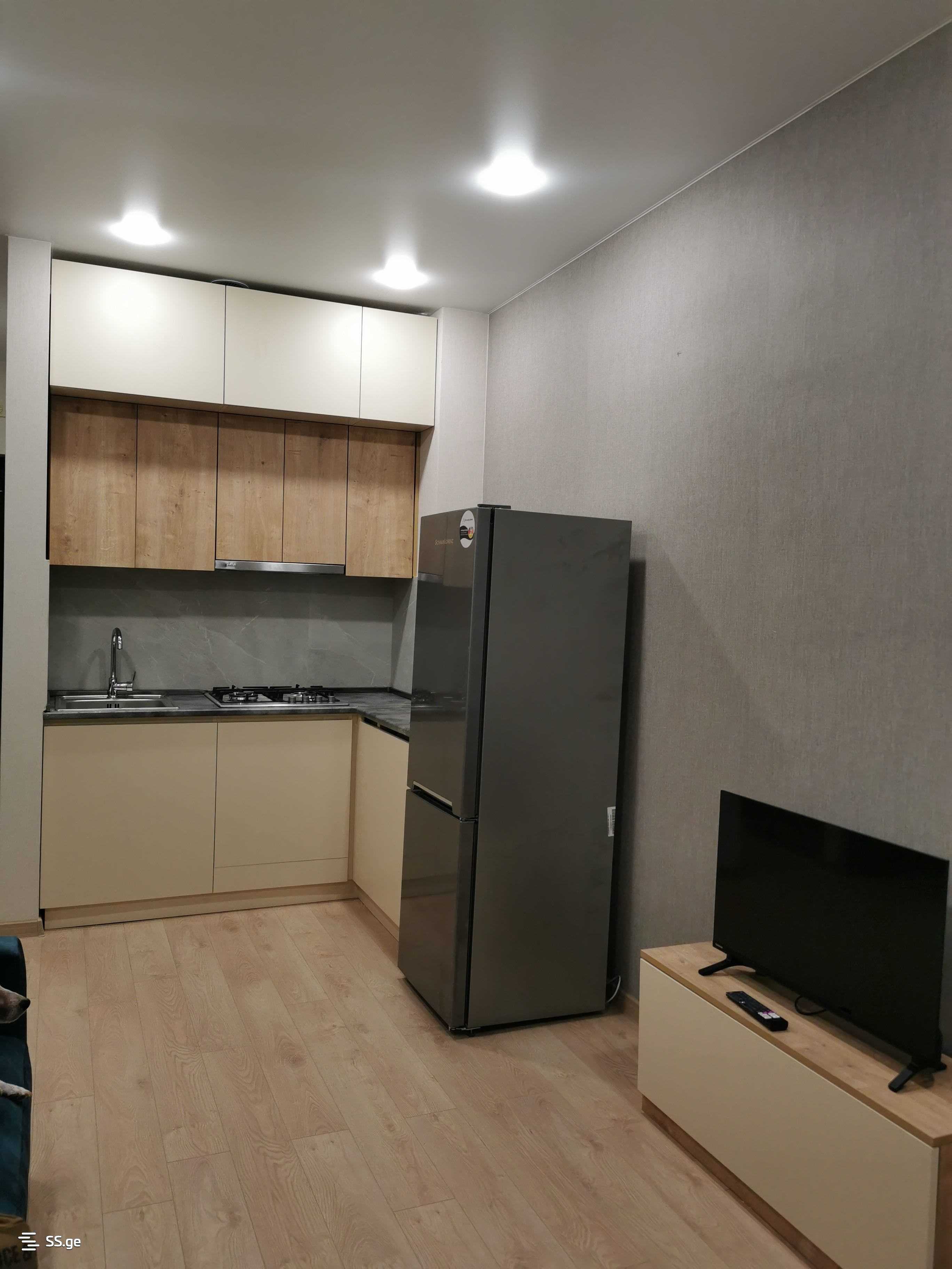 2 Room Flat For Rent. Didi Digomi view 3