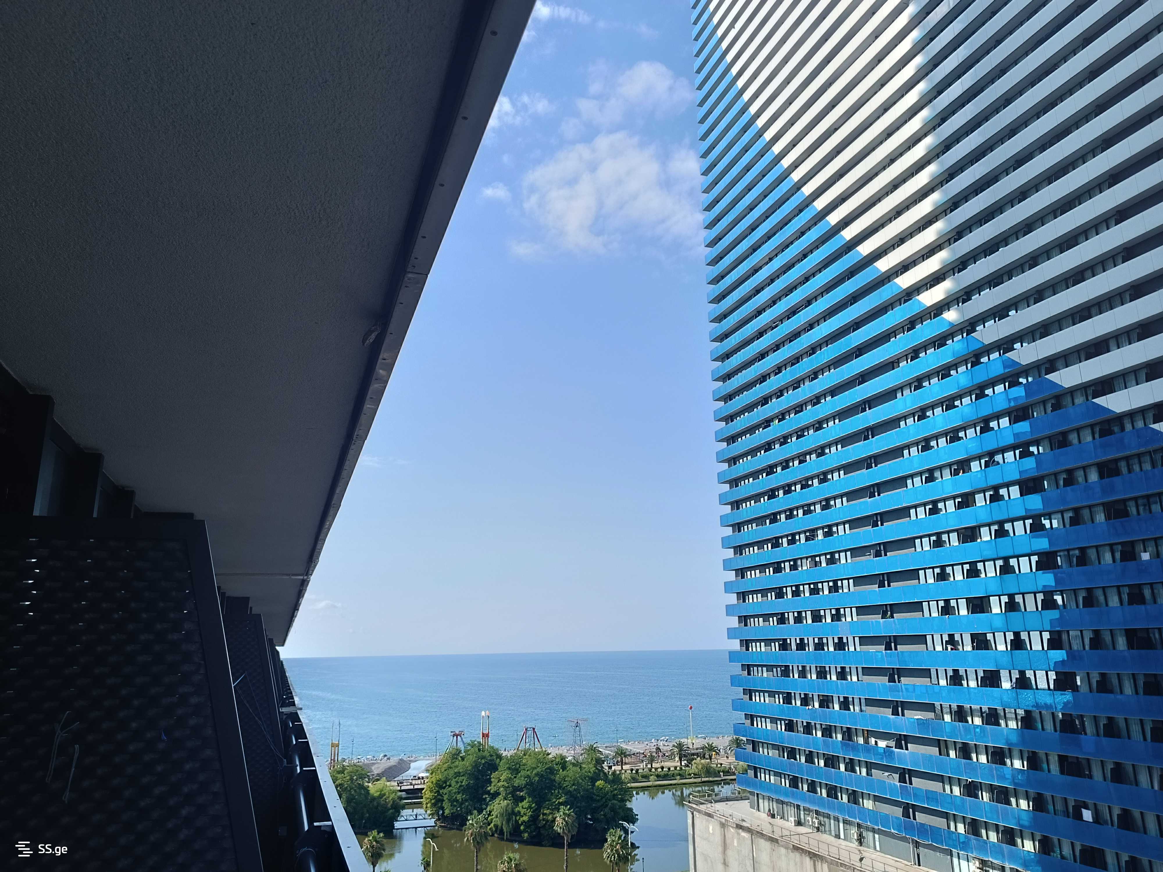 1 Room Flat Daily Rent. Batumi view 1