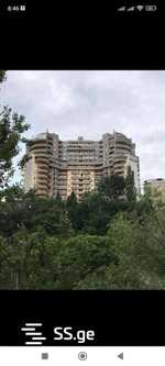 https://static.ss.ge/20240806/7_1ac2fd0e-34f4-4aac-9ba4-e622c958b017_Thumb.jpg