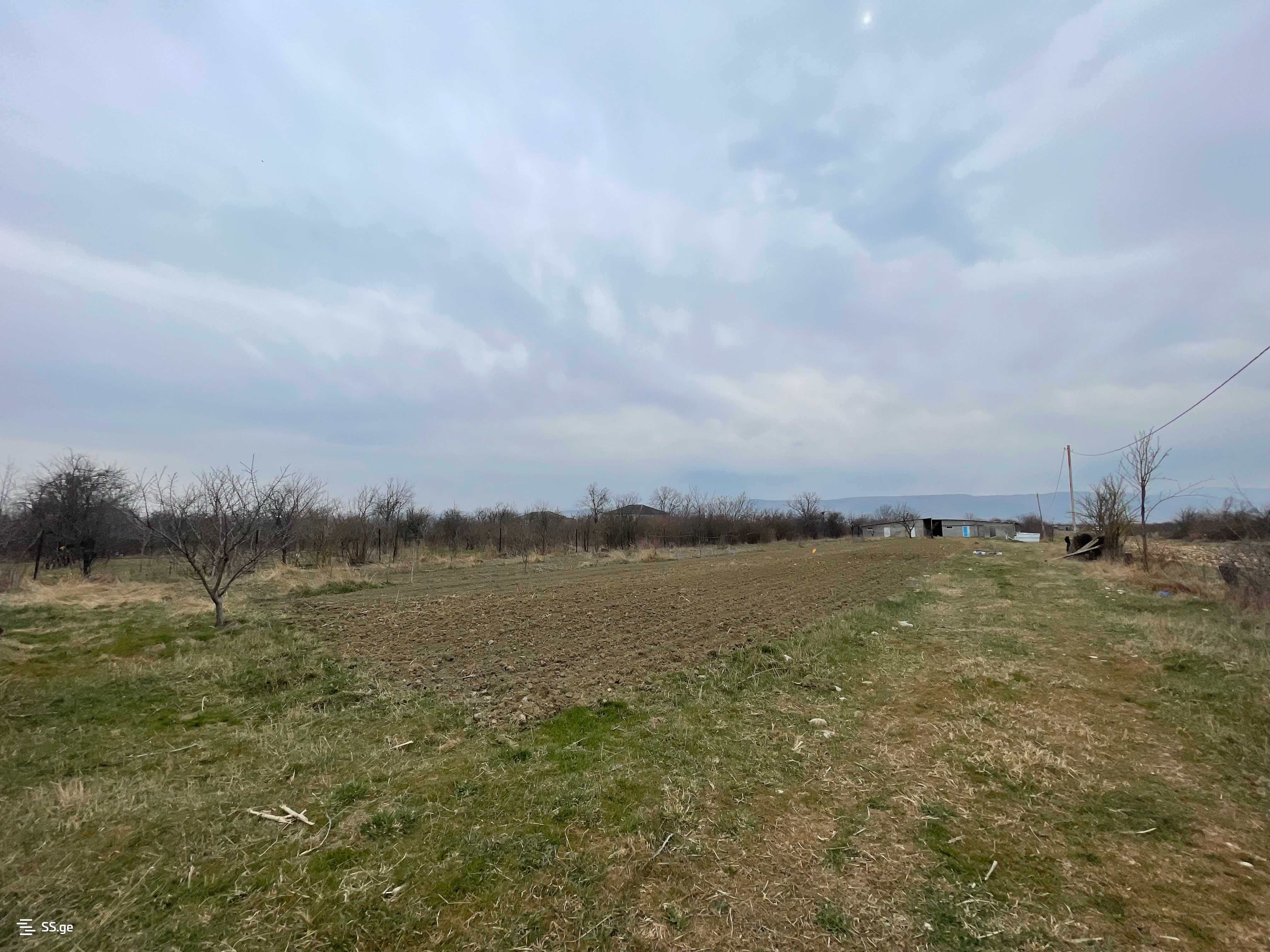 Store-Industrial Property For Sale. Gori, 3 of 4