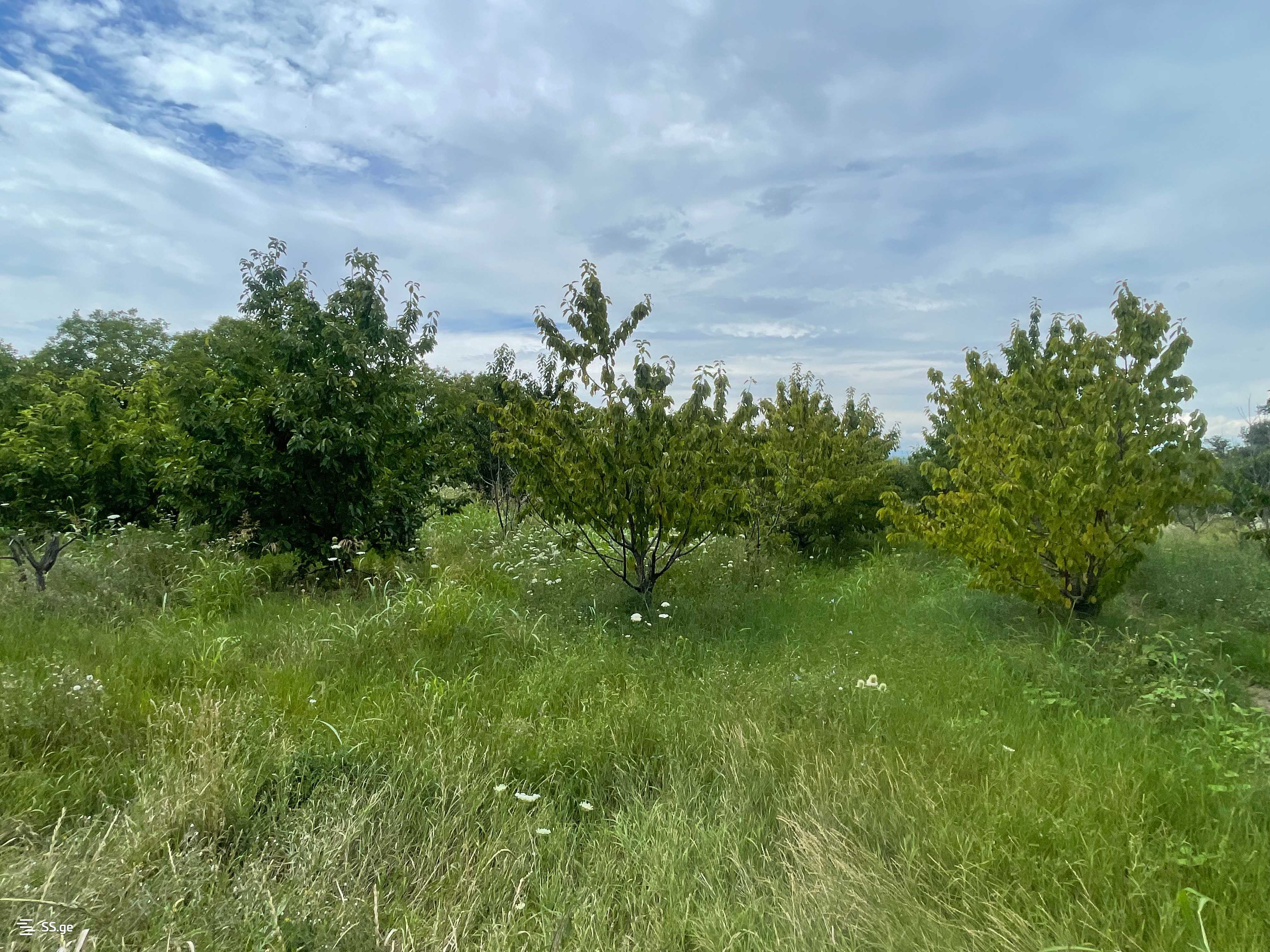 Land For Sale. Gori, 3 of 4
