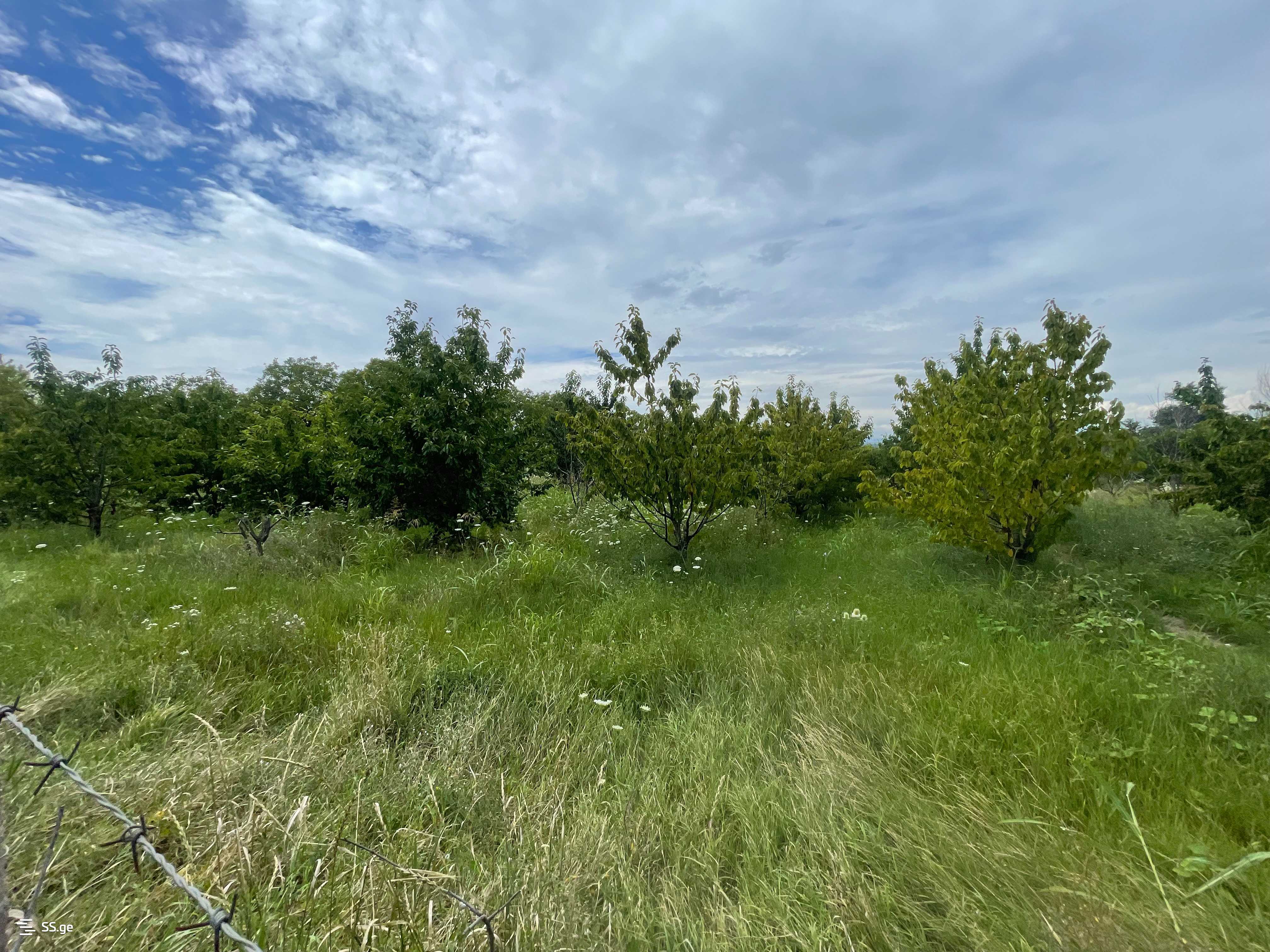 Land For Sale. Gori, 4 of 4
