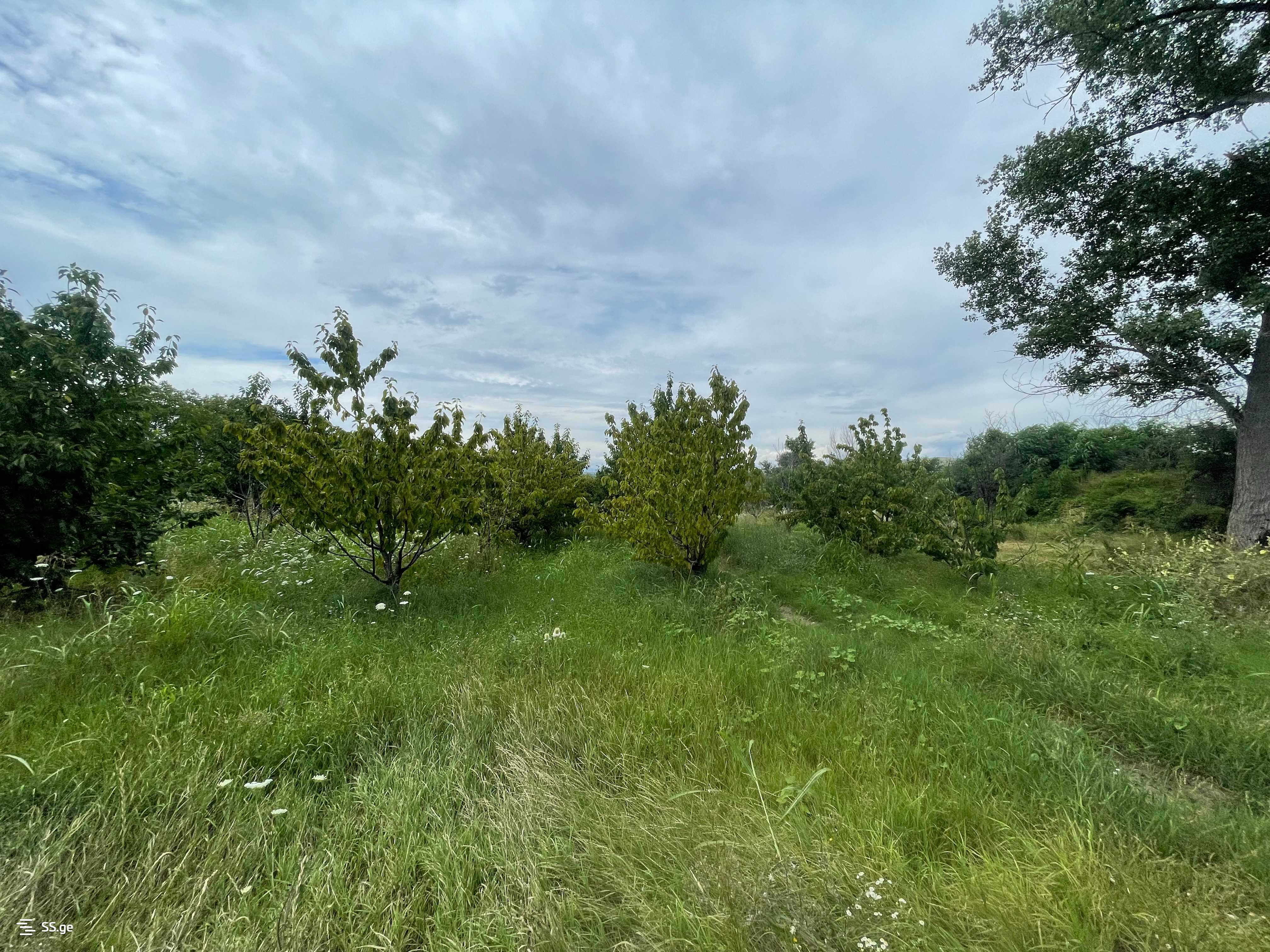 Продажа Земля в Гори view 5