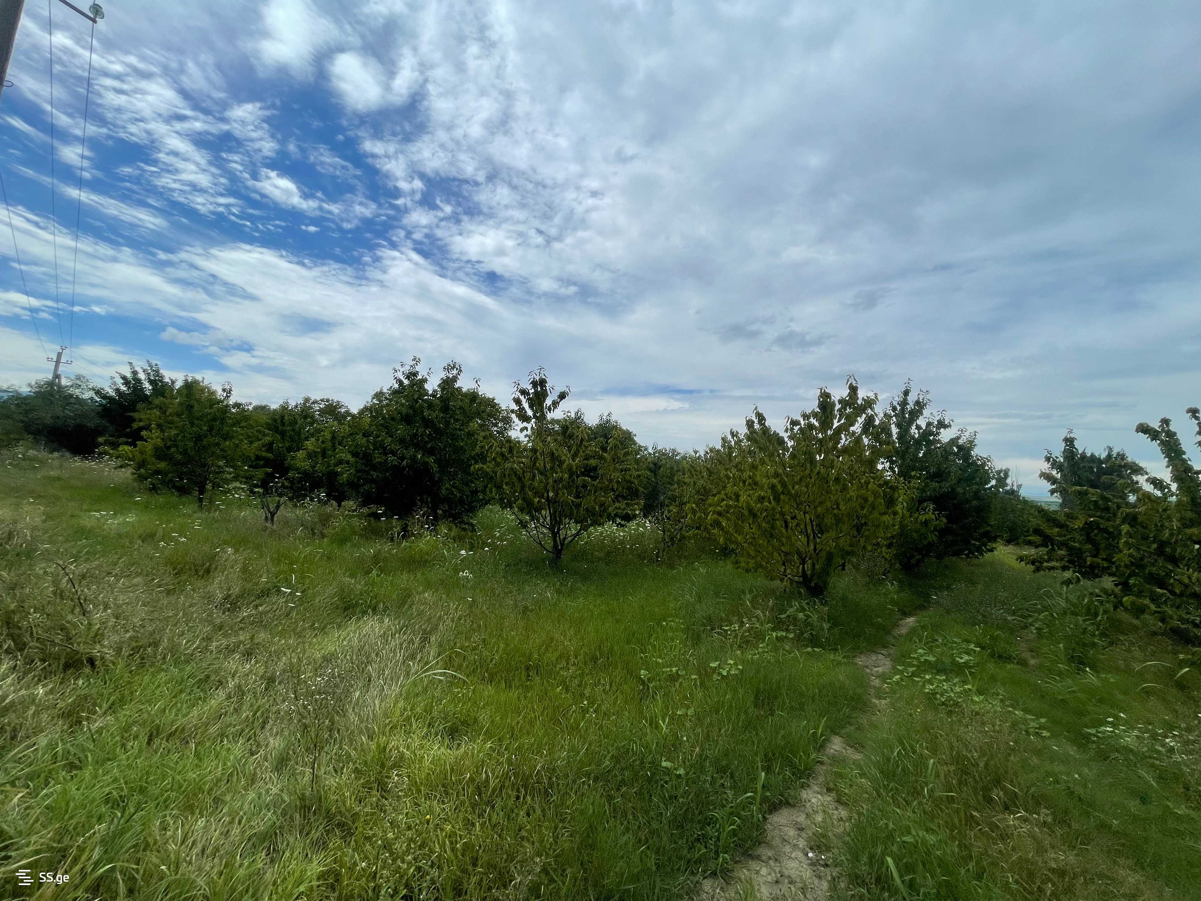 Land For Sale. Gori, 2 of 4