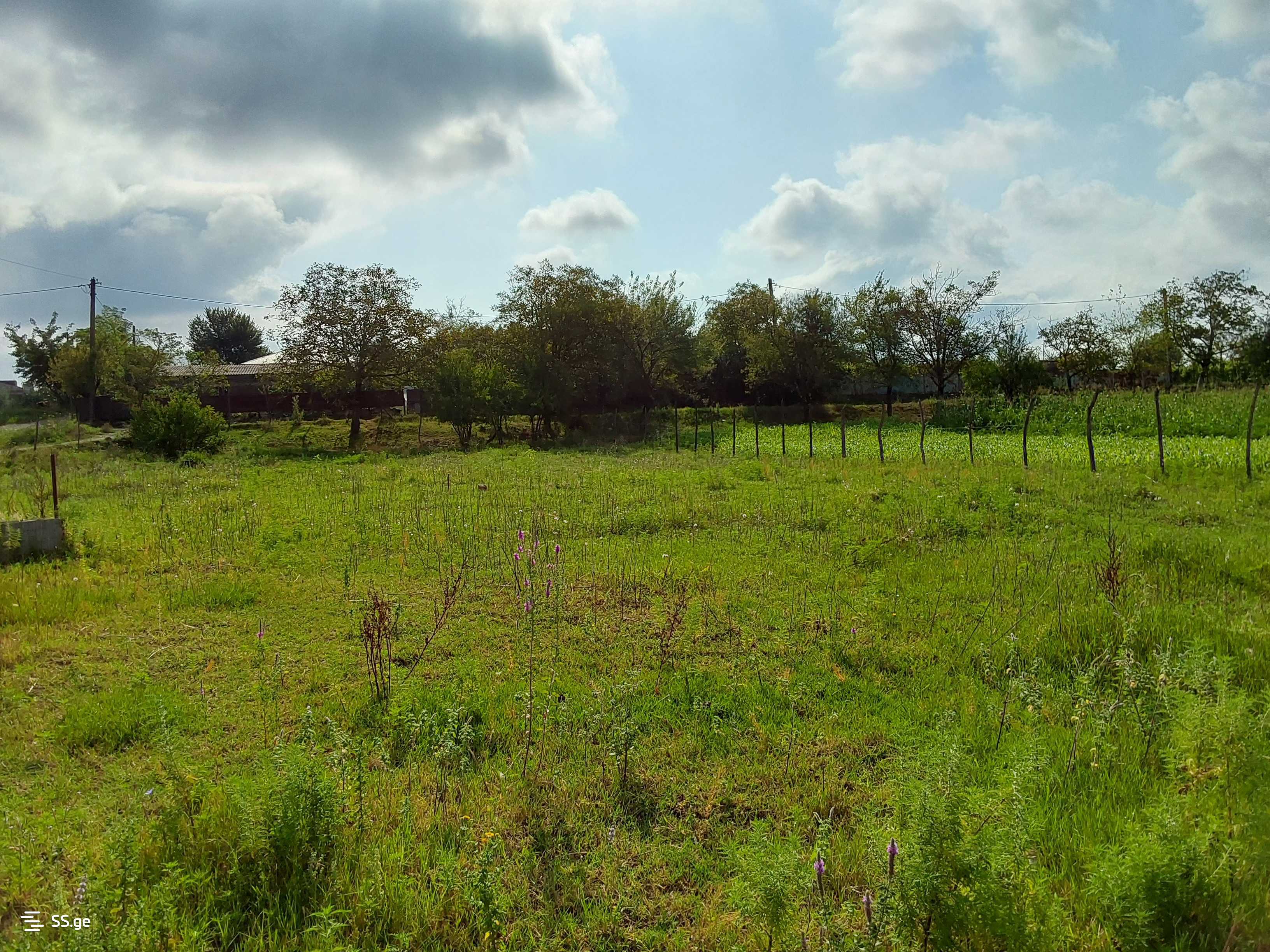 For Sale Satsarmoo Commercial Space Zestaponshi view 12