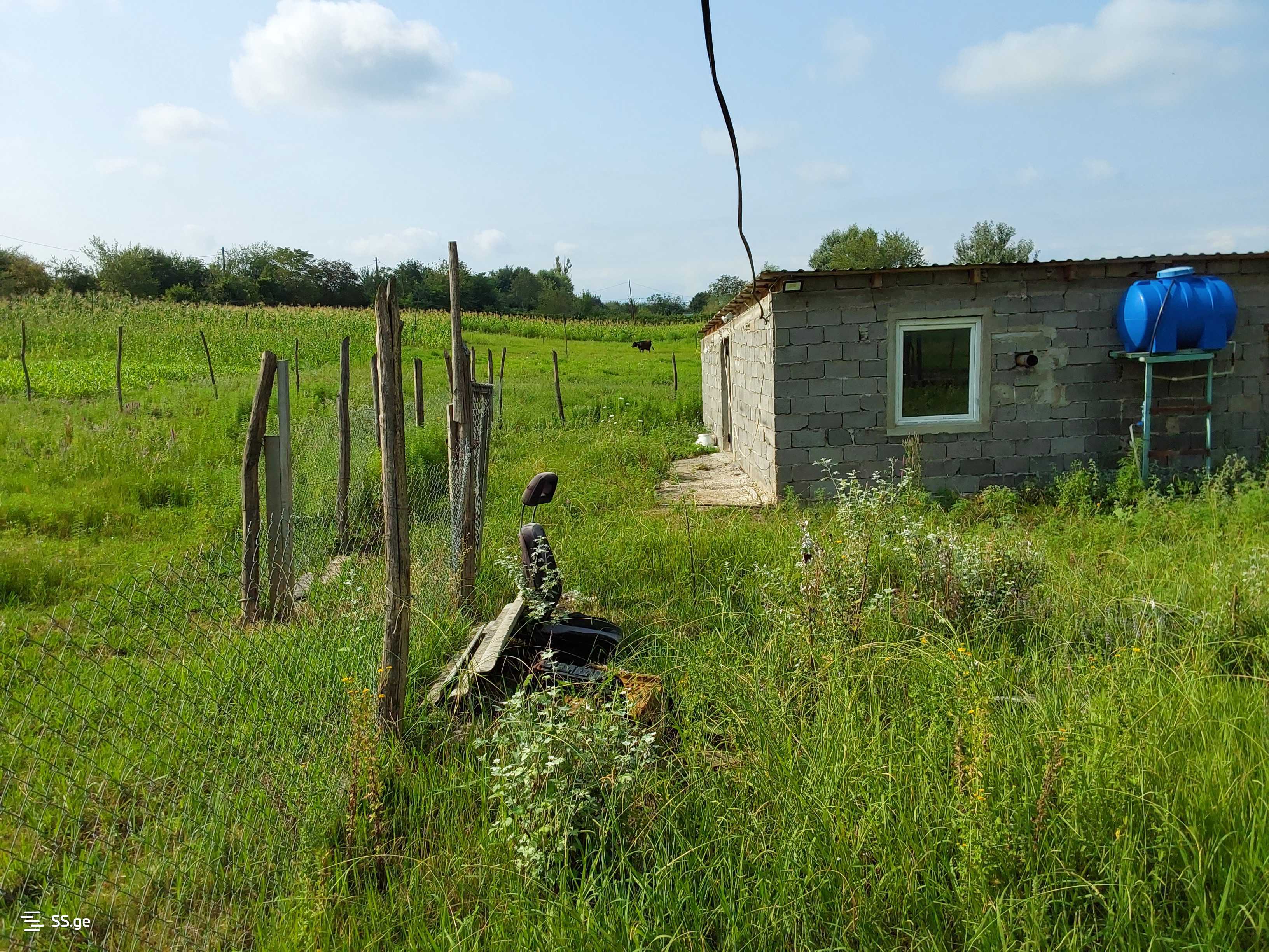 For Sale Satsarmoo Commercial Space Zestaponshi view 14