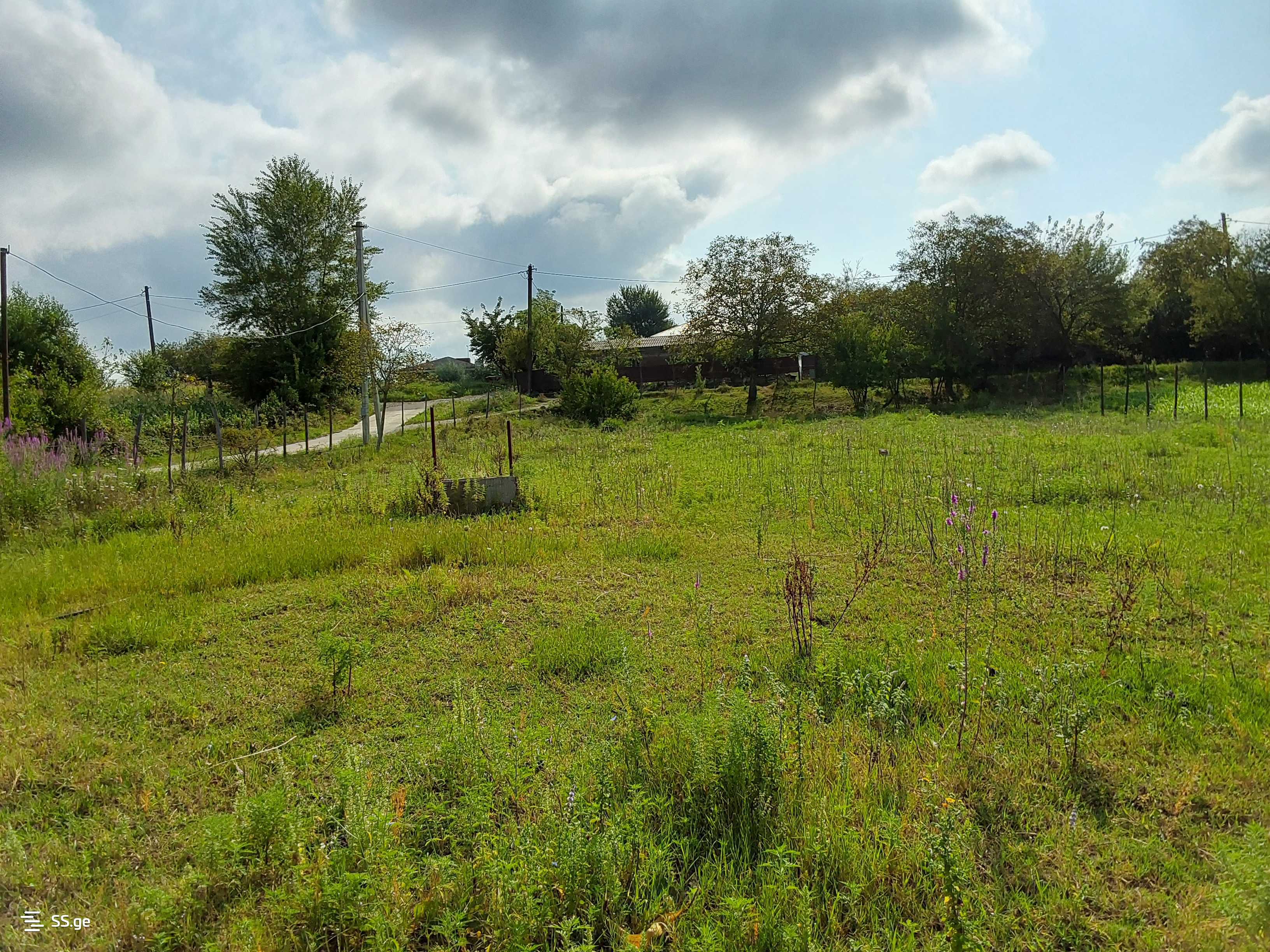 For Sale Satsarmoo Commercial Space Zestaponshi view 15