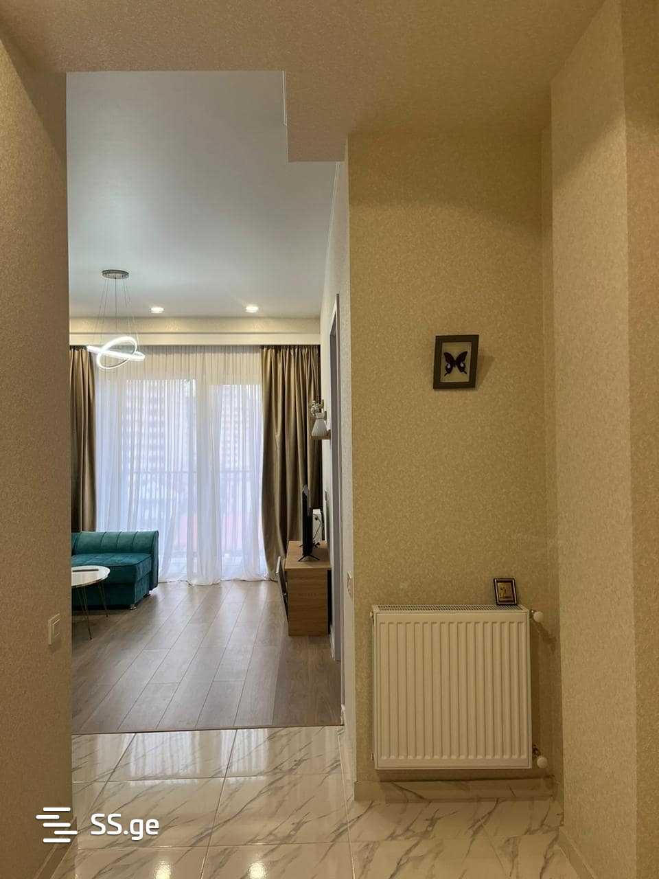 2 Room Flat Daily Rent. Didi Digomi view 4