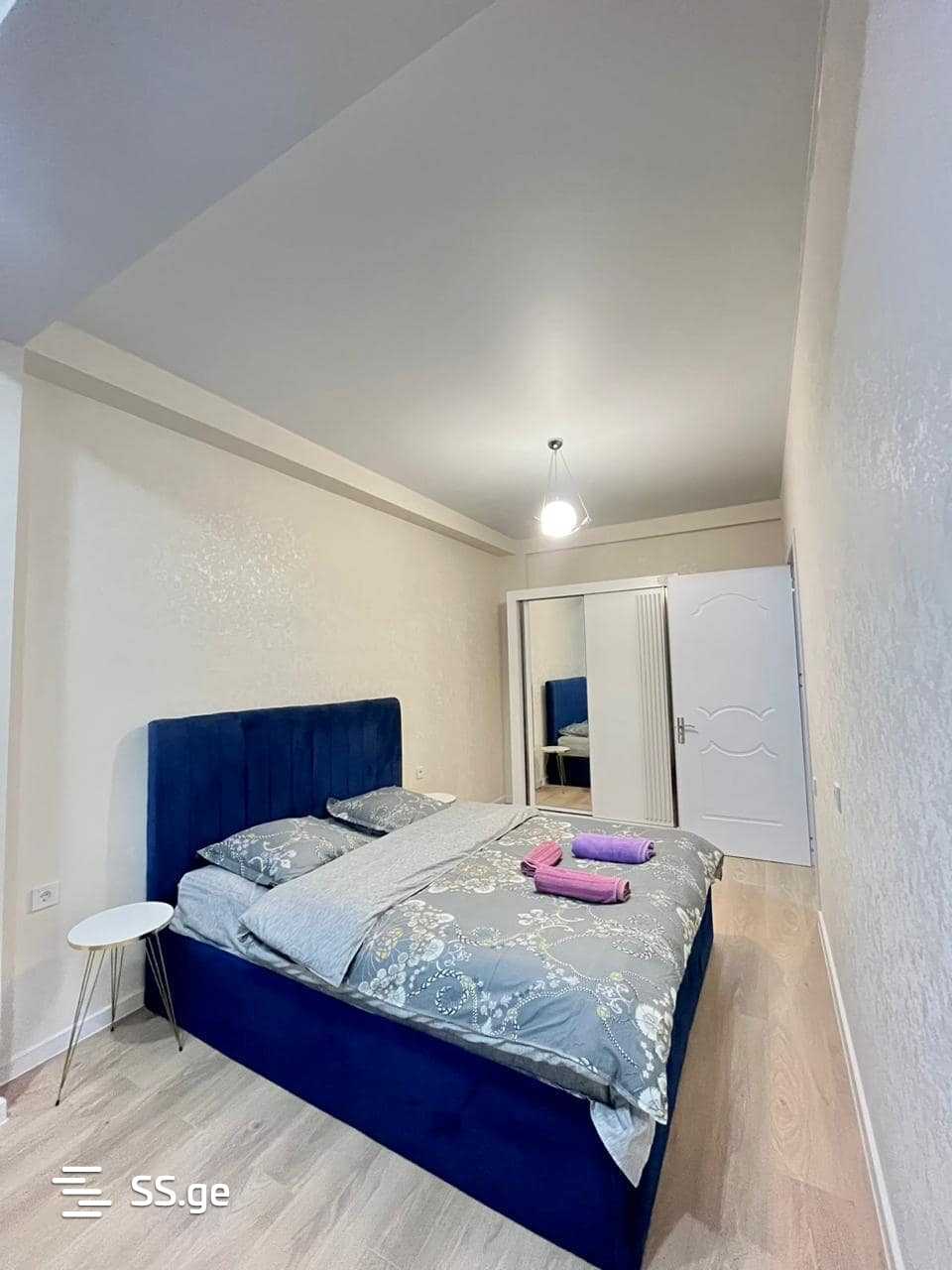 2 Room Flat Daily Rent. Didi Digomi view 1