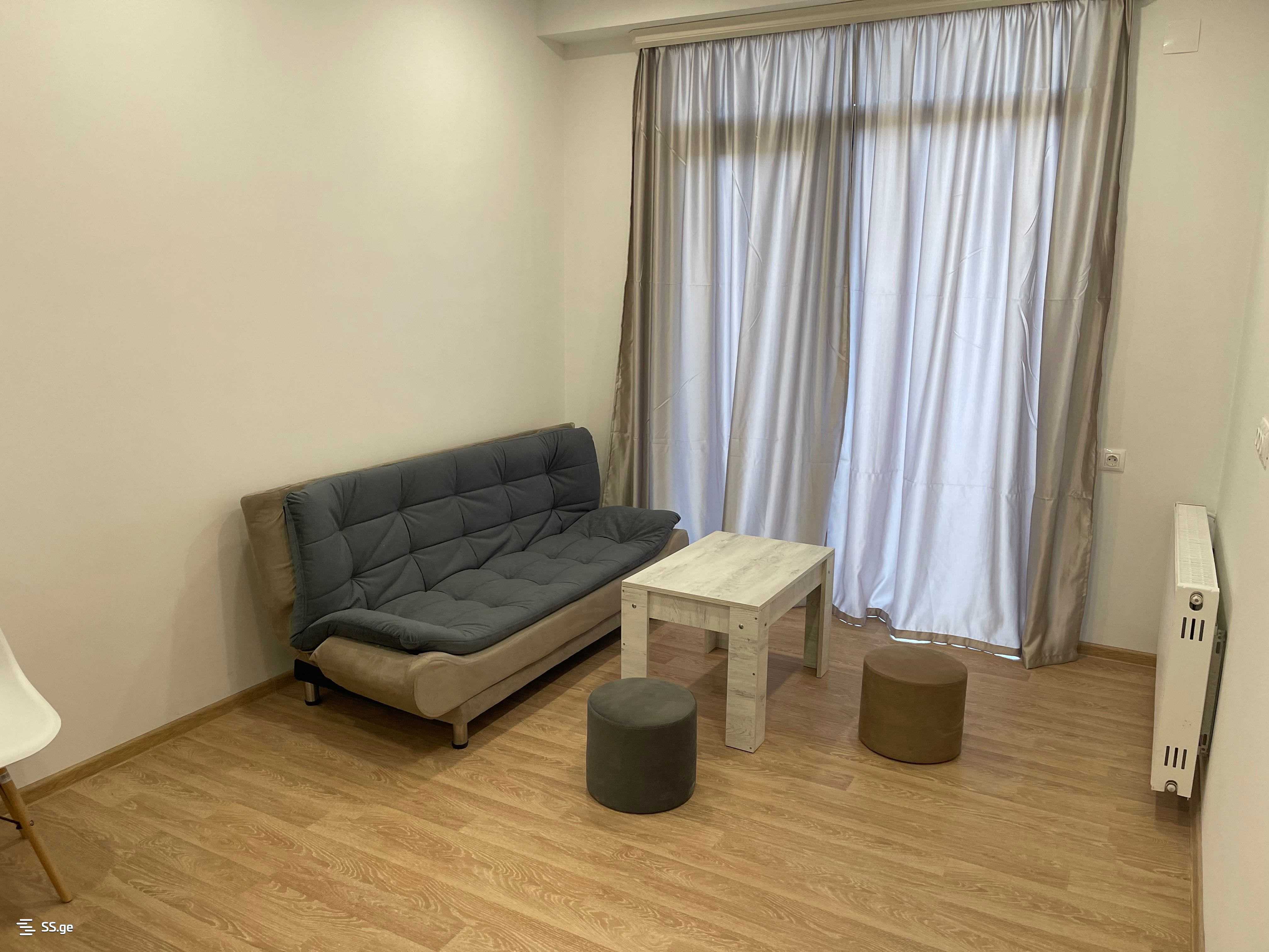 2 Room Flat For Rent. Nadzaladevi view 3