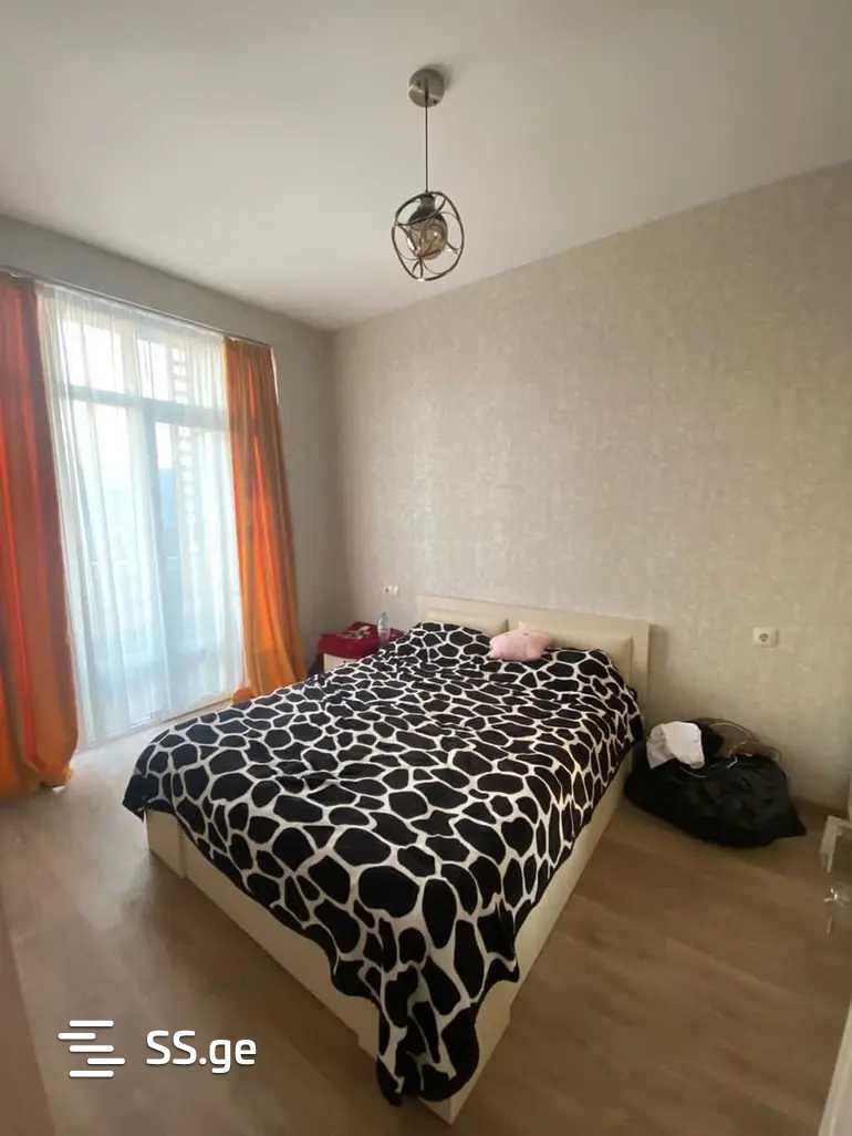 3 Room Flat For Rent. Nadzaladevi view 2