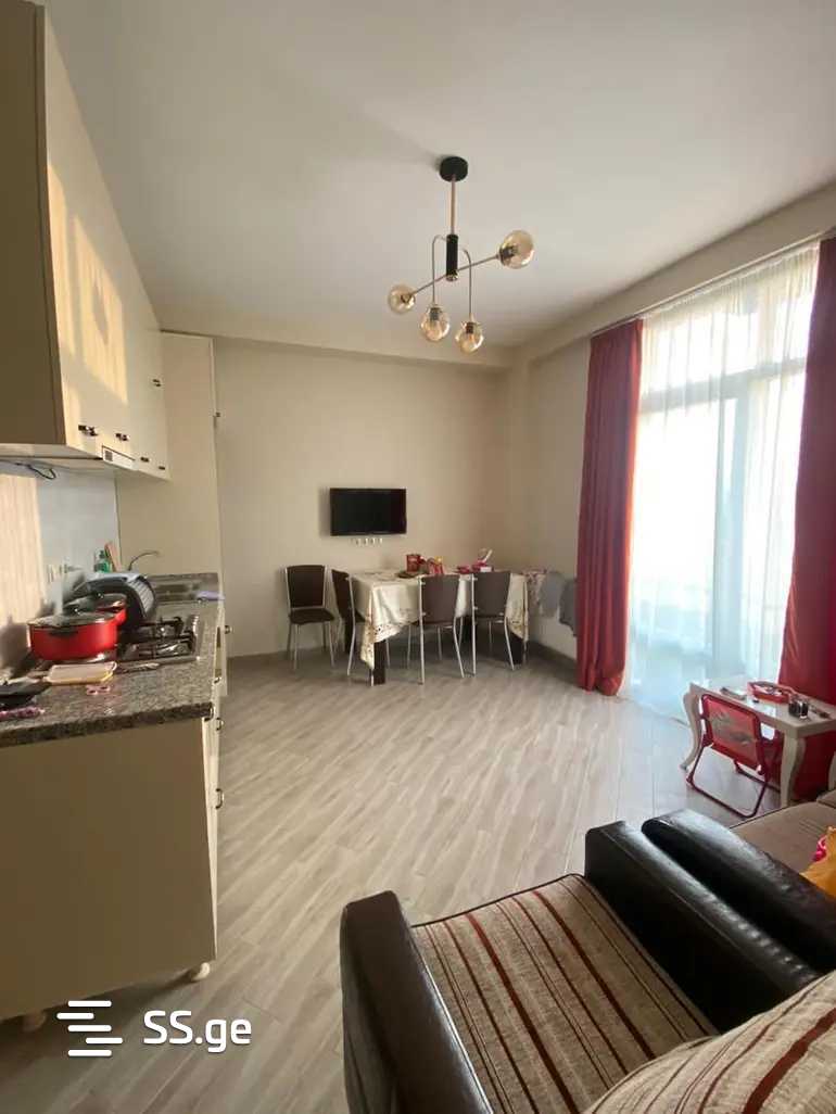 3 Room Flat For Rent. Nadzaladevi view 3