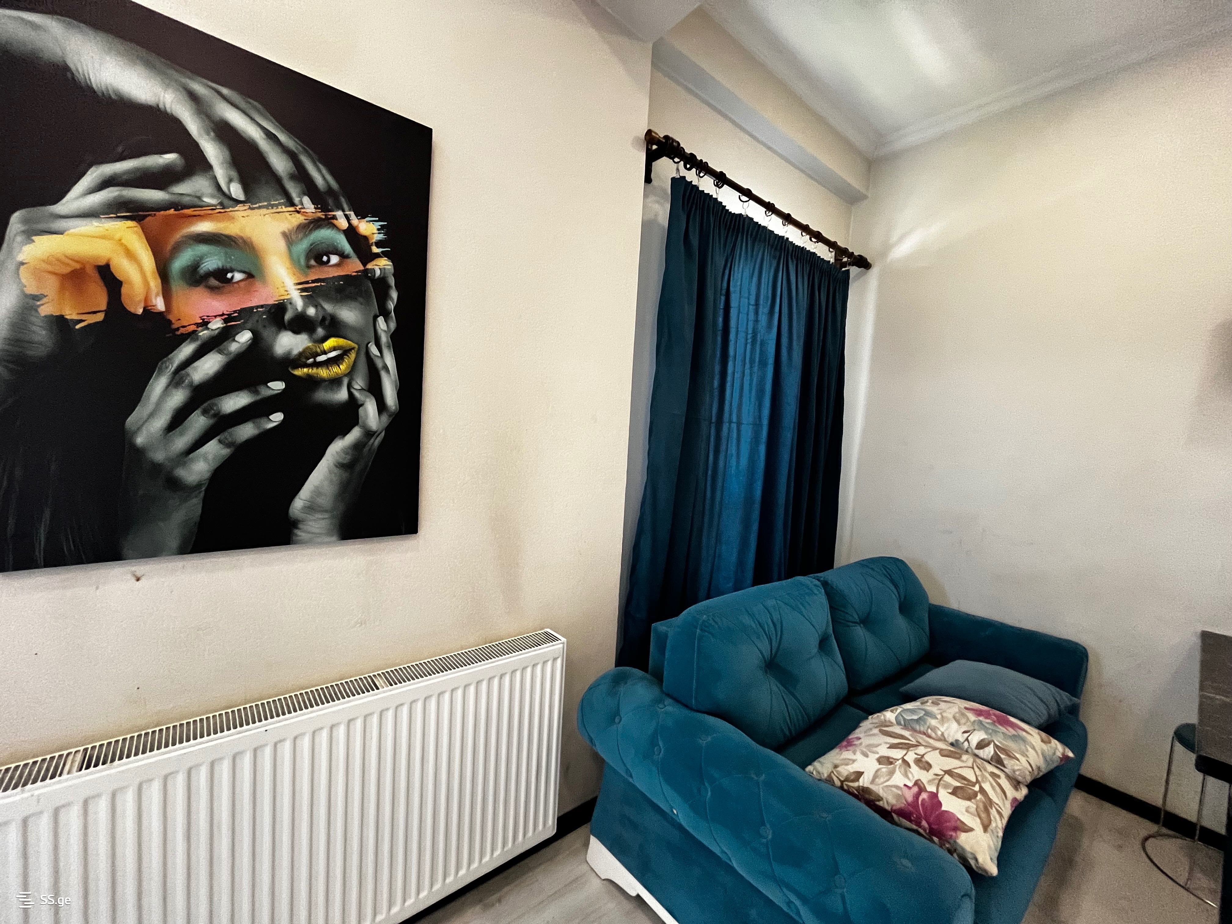 1 room Flat Daily rent. Isani - Ansicht 3