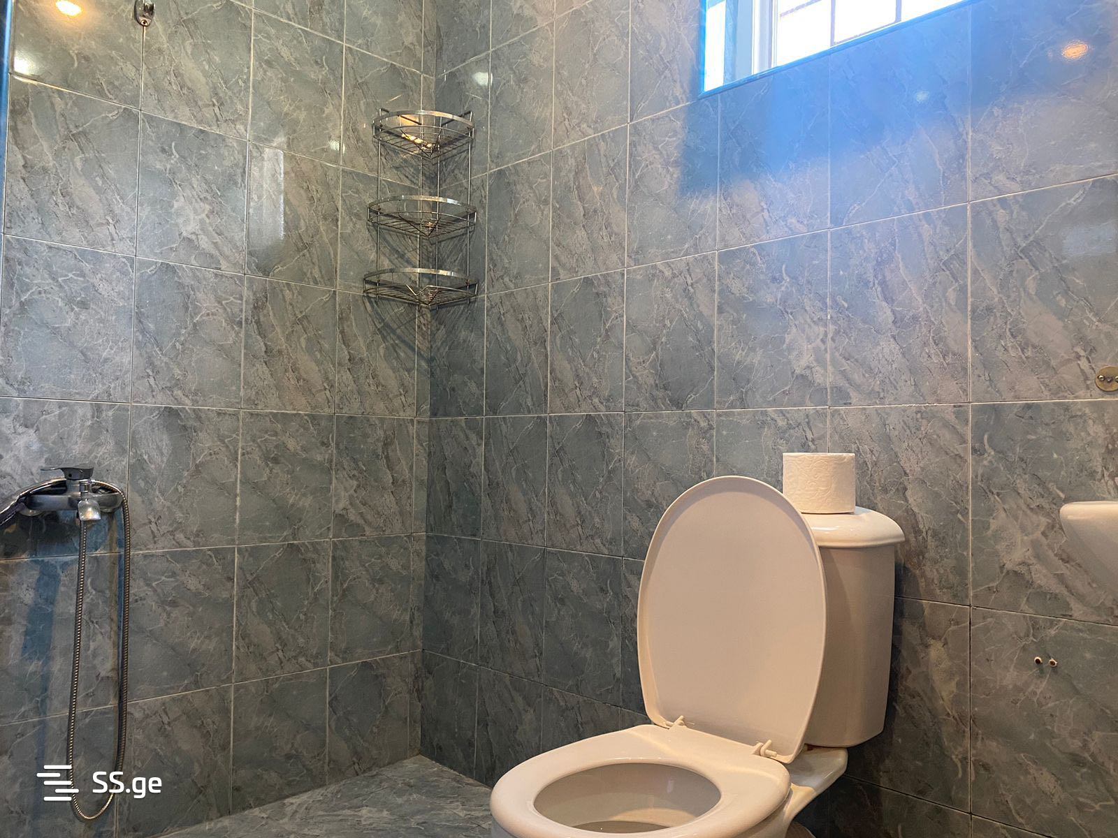7 Room Private House Daily Rent. Shekvetili view 11