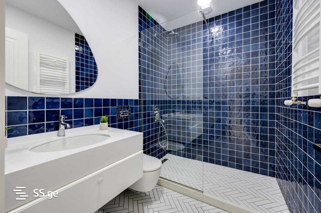 5 Room Flat For Rent. Sololaki view 4