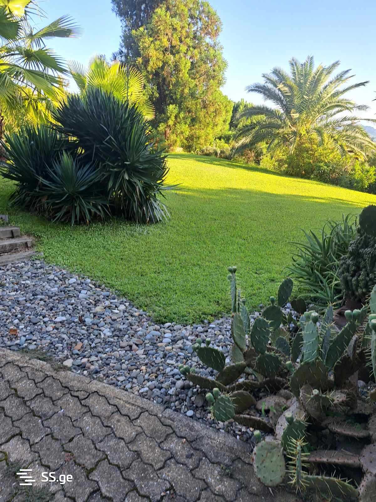 7 Room Summer Cottage For Sale view 1