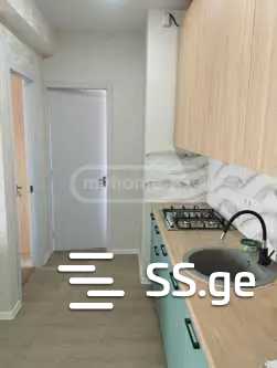 3 Room Flat For Rent. Nadzaladevi view 2