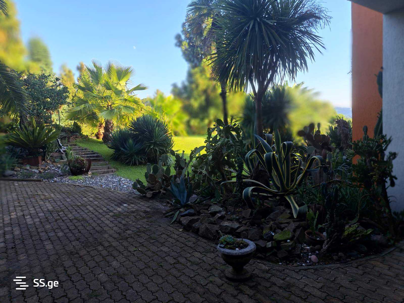 7 Room Summer Cottage For Sale view 2