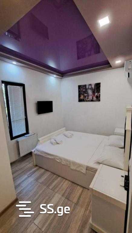 1 Room Hotel For Rent. Didube view 8