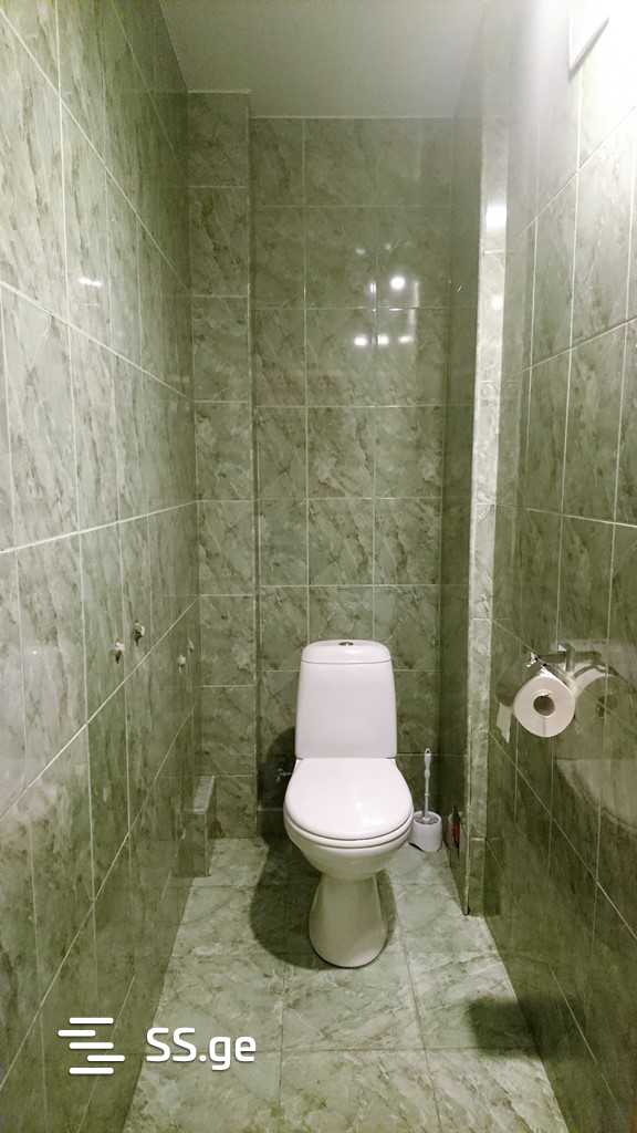2 Room Flat For Rent. Didi Digomi view 9