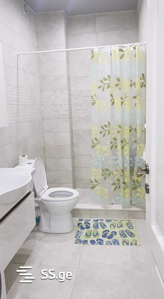 2 Room Flat For Rent. Nadzaladevi view 10