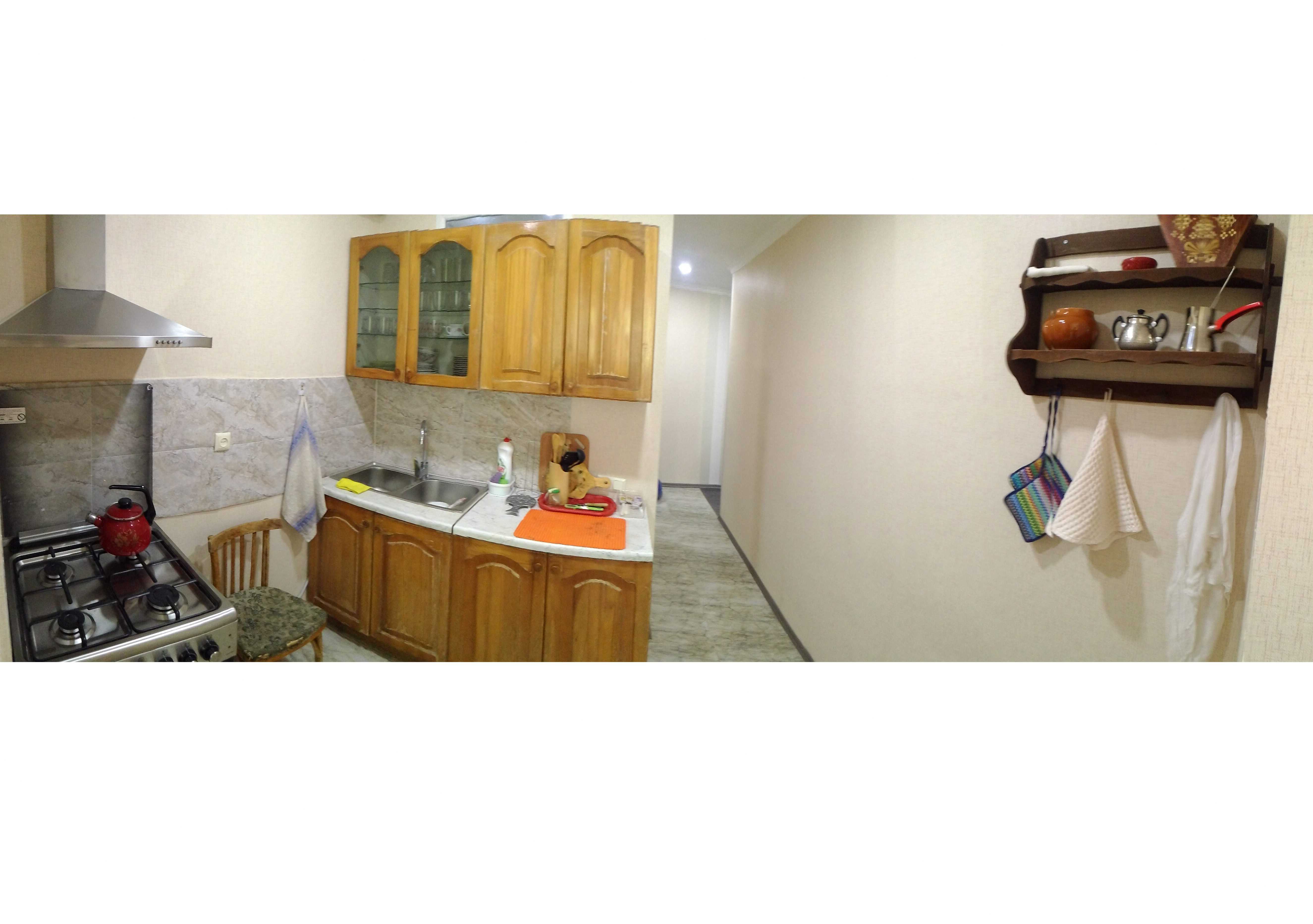 3 Room Flat For Rent. Abastumani view 8